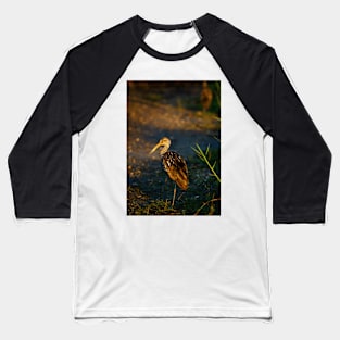 Limpkin Baseball T-Shirt